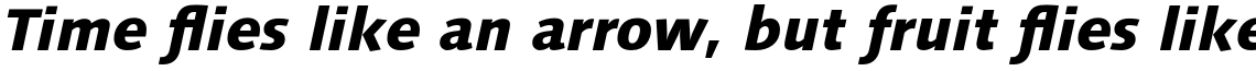 Syntax Next Pro Heavy Italic