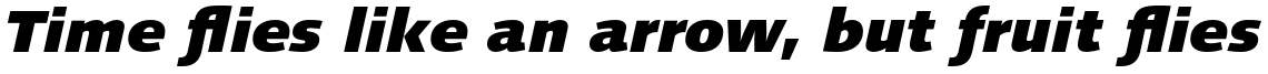 Syntax Next Pro Black Italic
