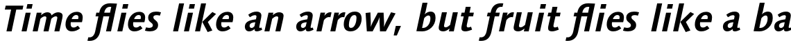 Syntax Next Std Cyrillic Bold Italic