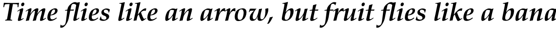 Aldus nova Pro Bold Italic
