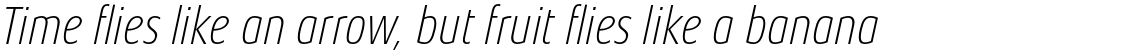Aeonis Pro Condensed Thin Italic