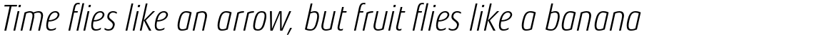 Aeonis Pro Condensed Light Italic
