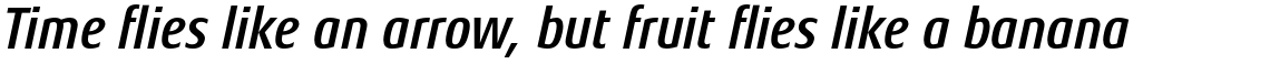 Aeonis Pro Condensed Bold Italic