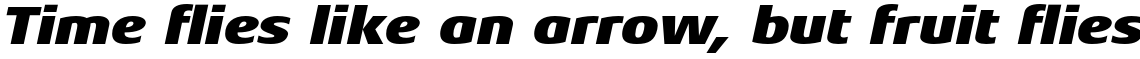 Aeonis Pro Black Italic