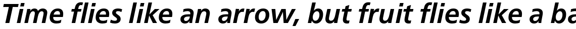 Neue Frutiger Pro Bold Italic