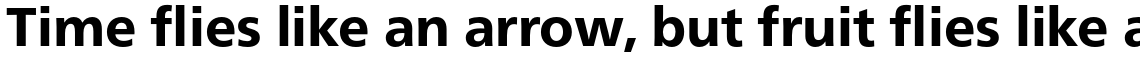 Neue Frutiger Pro Heavy