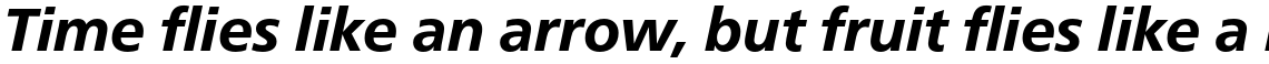 Neue Frutiger Pro Heavy Italic