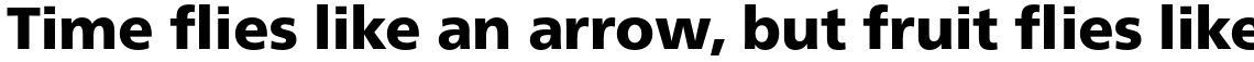 Neue Frutiger Pro Black