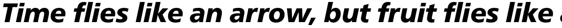 Neue Frutiger Pro Black Italic
