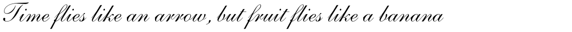 Shelley Script Pro Cyrillic Regular