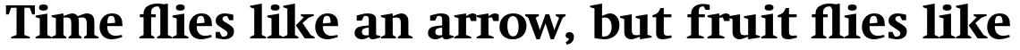 Neue Swift Pro Bold