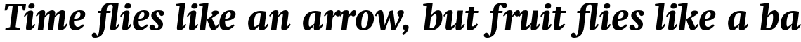 Neue Swift Pro Bold Italic