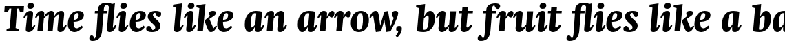 Neue Swift Pro Condensed Black Italic