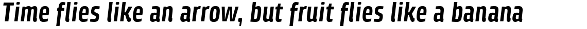 Klint Pro Bold Condensed Italic