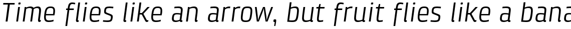 Klint Pro Italic