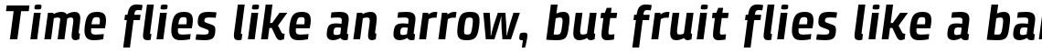 Klint Pro Bold Italic