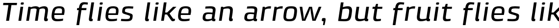 Klint Pro Medium Extended Italic