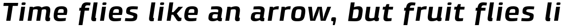 Klint Pro Bold Extended Italic