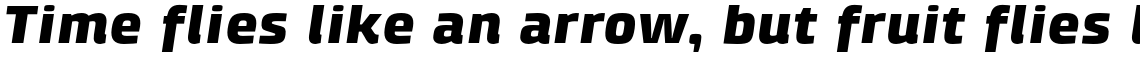 Klint Pro Black Extended Italic