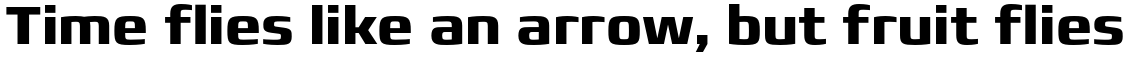 Francker Pro Bold