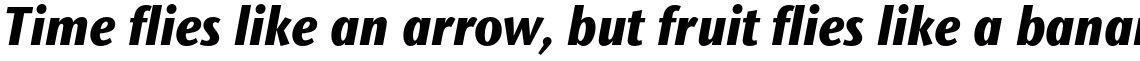 ITC Stone Sans II Pro Condensed Extra Bold Italic