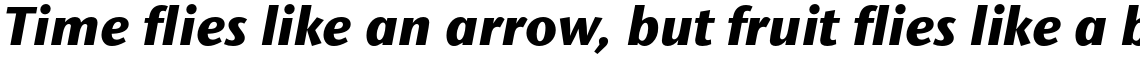 ITC Stone Sans II Pro Extra Bold Italic
