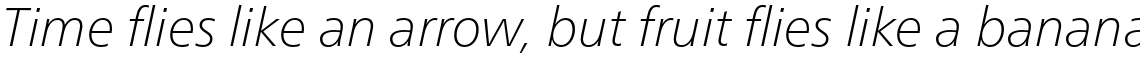 Neue Frutiger Pro Cyrillic Thin Italic