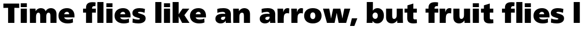 Neue Frutiger Pro Cyrillic Extra Back