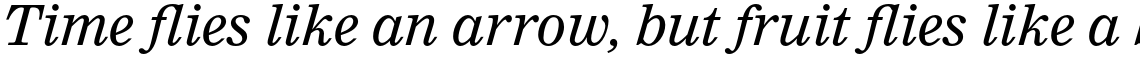 Nimrod Pro Italic