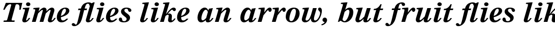 Nimrod Pro Bold Italic