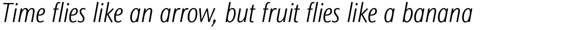 ITC Stone Sans II Std Condensed Light Italic