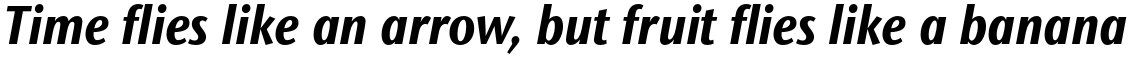 ITC Stone Sans II Std Condensed Bold Italic