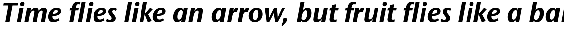 ITC Stone Sans II Std Bold Italic
