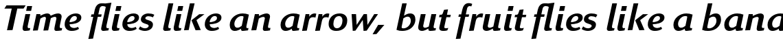 Linex Sans Pro Italic