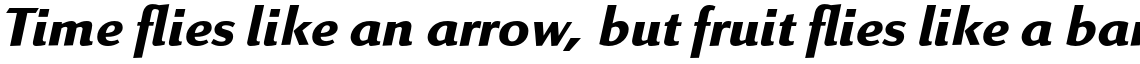 Linex Sans Pro Bold Italic