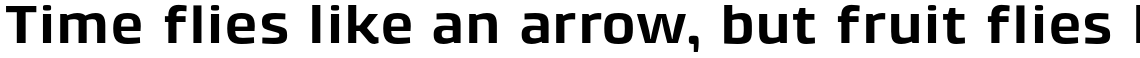 Klint Std Bold Extended
