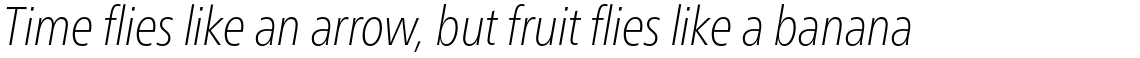 Neue Frutiger Pro Condensed Thin Italic