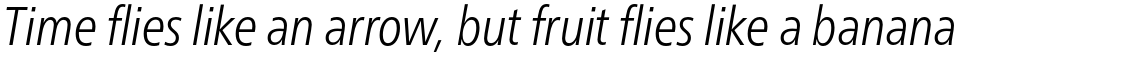 Neue Frutiger Pro Condensed Light Italic