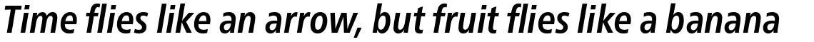 Neue Frutiger Pro Condensed Bold Italic