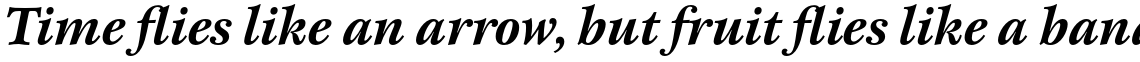 ITC New Esprit Pro Bold Italic