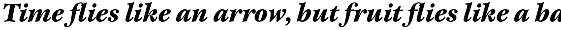 ITC New Esprit Pro Black Italic