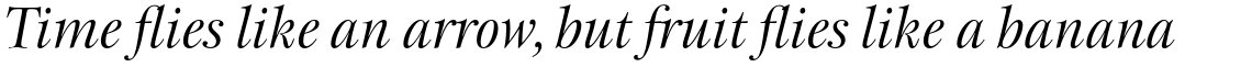ITC New Esprit Pro Display Italic