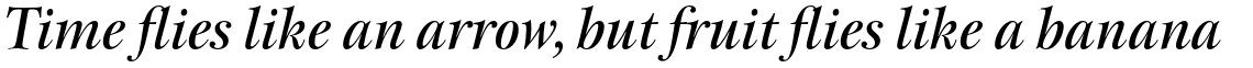 ITC New Esprit Pro Display Medium Italic