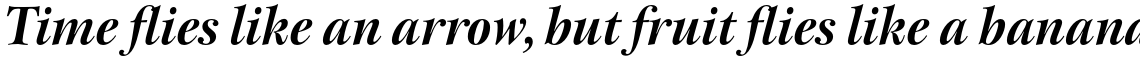 ITC New Esprit Pro Display Bold Italic