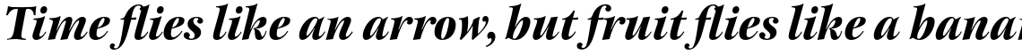 ITC New Esprit Pro Display Black Italic