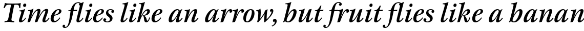 ITC New Esprit Std Medium Italic