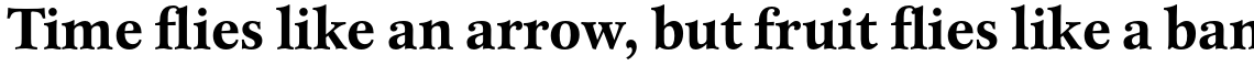 ITC New Esprit Std Bold