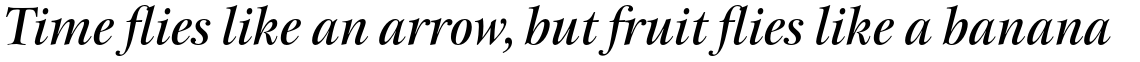ITC New Esprit Std Display Medium Italic