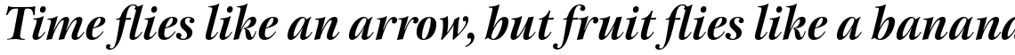 ITC New Esprit Std Display Bold Italic
