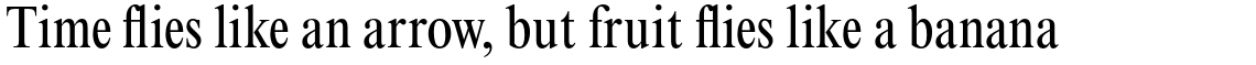 Times New Roman Pro Condensed